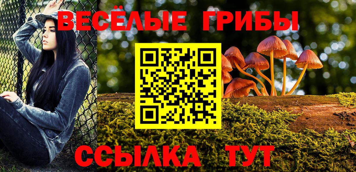 Псилоцибиновые грибы Magic Shrooms Мичуринск